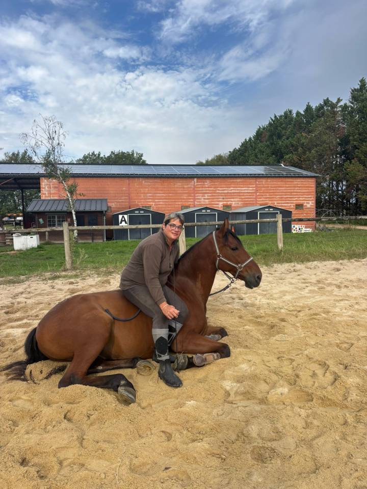 Groom maison concours ou cavalier soigneur 