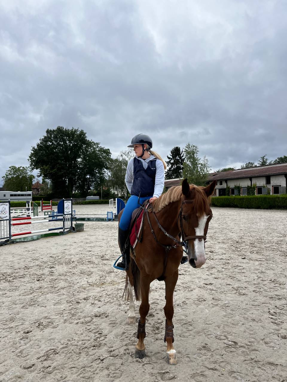 jument amateur &agrave; vendre 