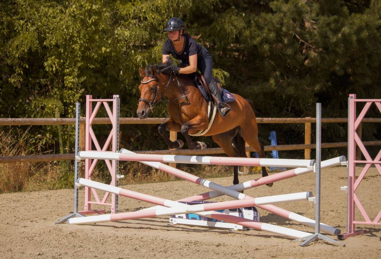 Ponette D 5 ans &agrave; vendre pour p1/elite 