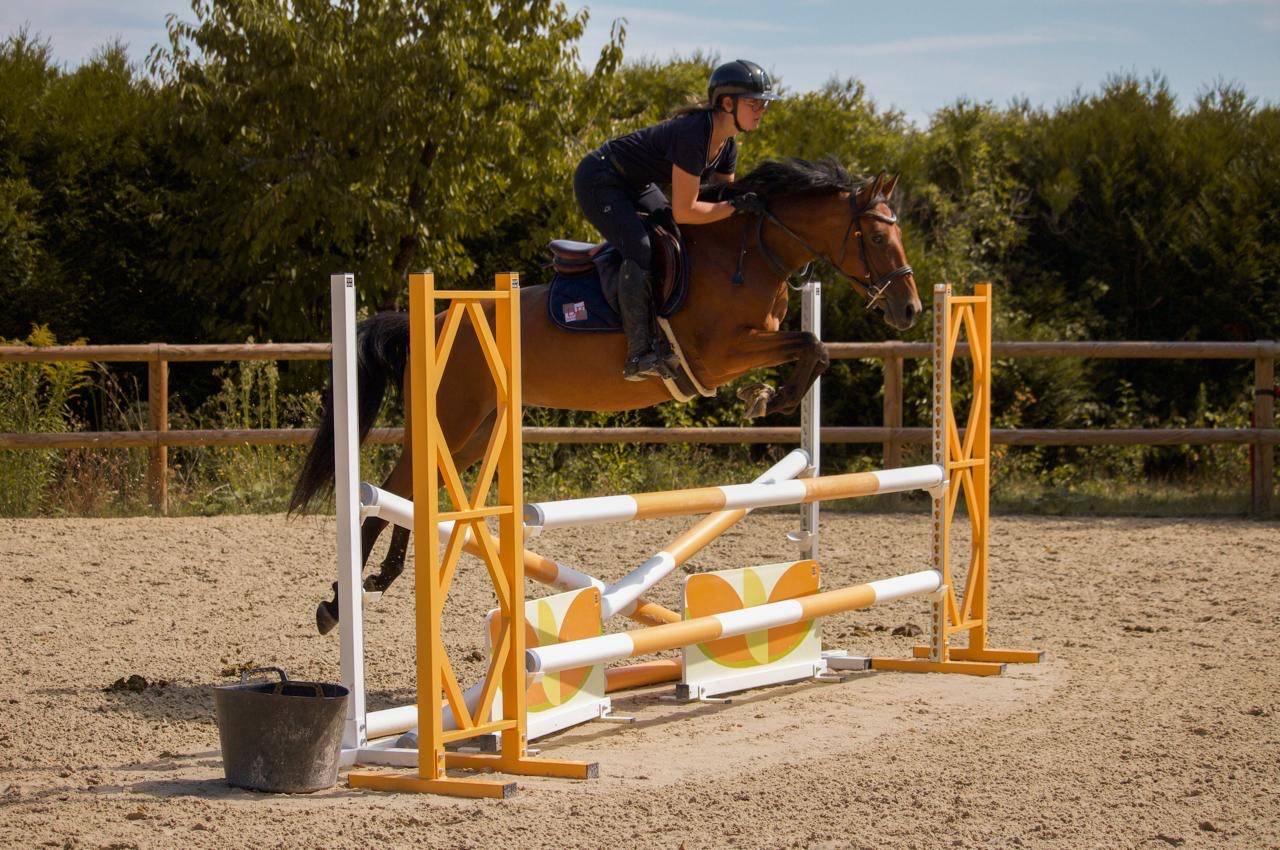 Ponette D 5 ans &agrave; vendre pour p1/elite 
