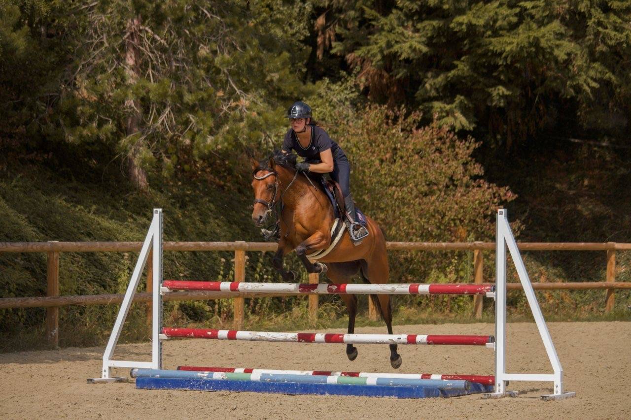 Ponette D 5 ans &agrave; vendre pour p1/elite 