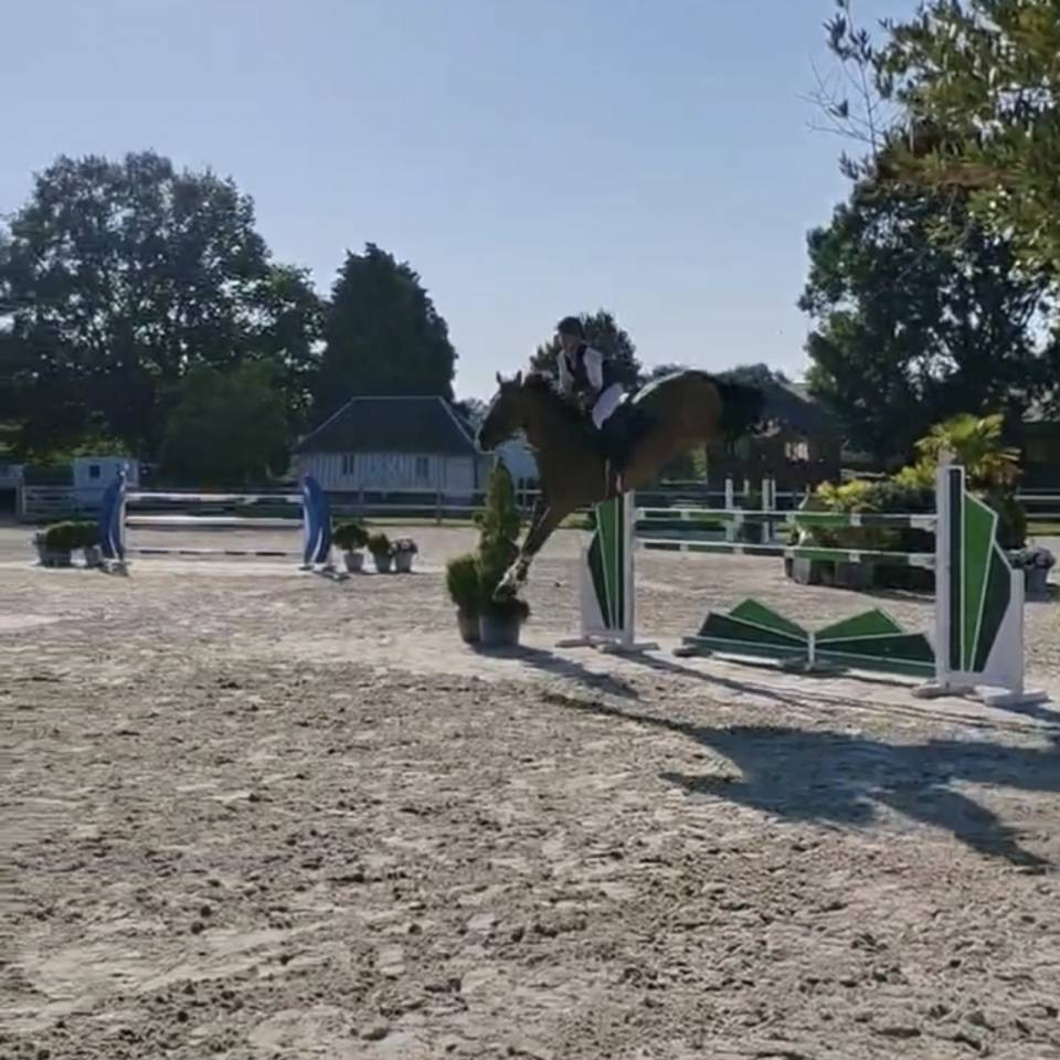 Hongre 8 ans par DAMIRO F pour 140-145