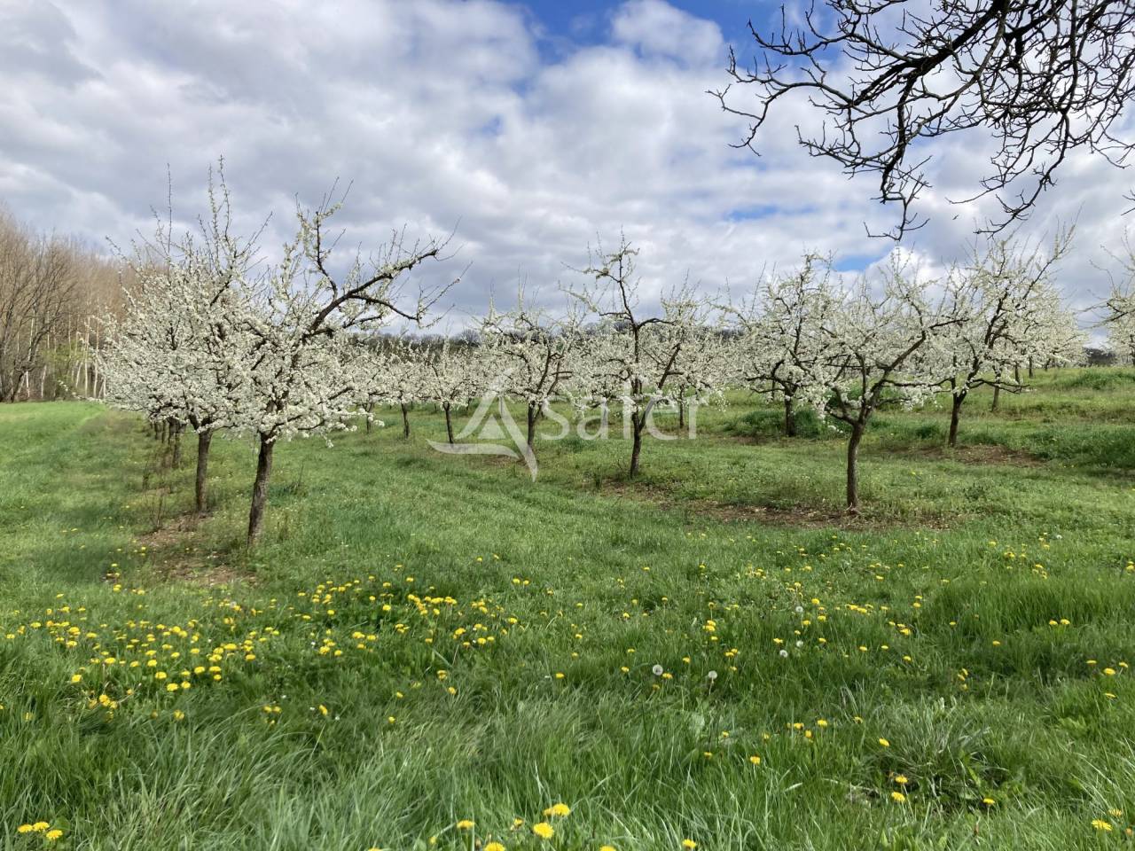 Belle propri&eacute;t&eacute; agricole sur 64ha avec plusieurs habitations