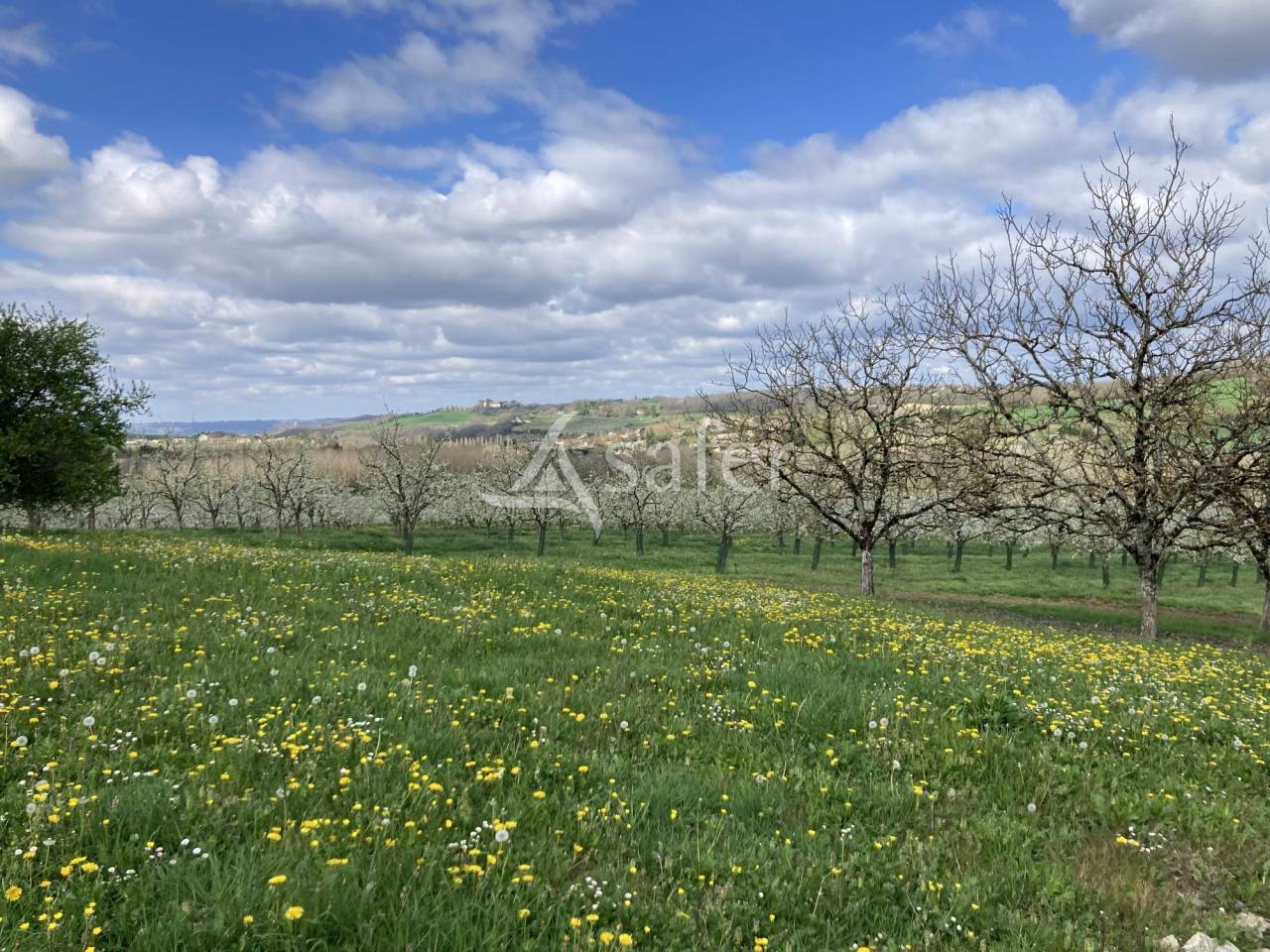 Belle propri&eacute;t&eacute; agricole sur 64ha avec plusieurs habitations