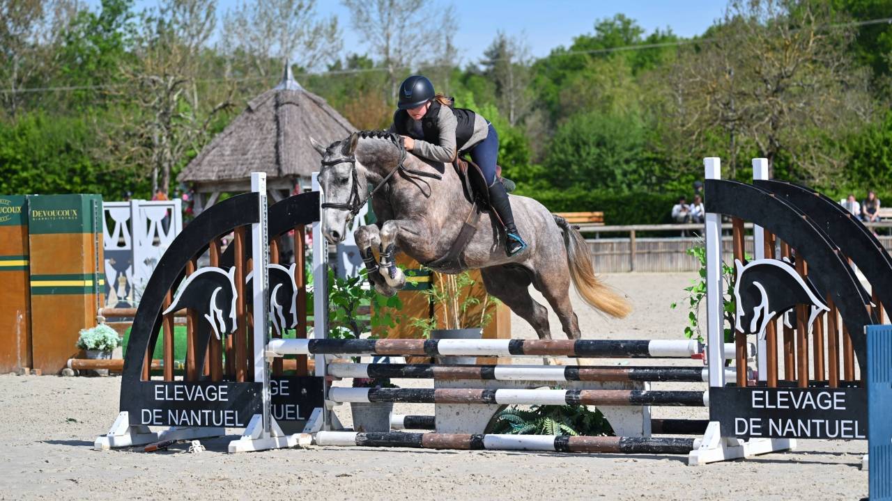 Top poney rans