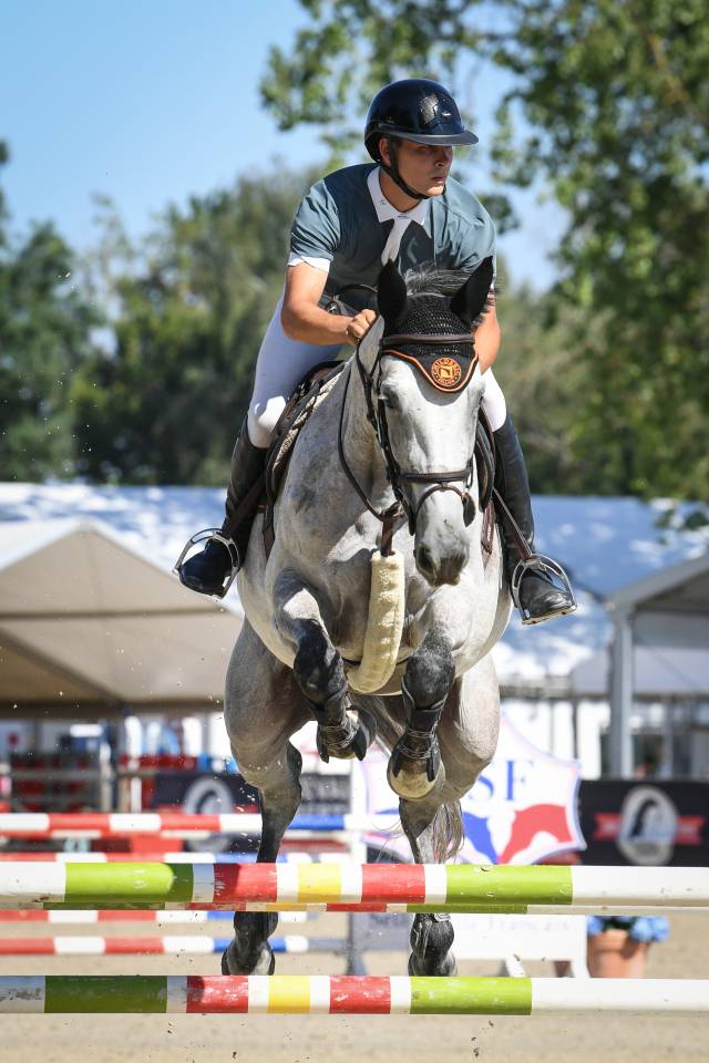 Chevaux &agrave; vendre ( 6 / 7 ans )