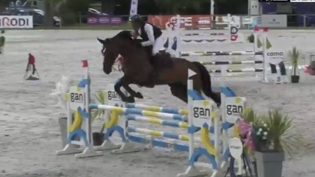 Jument cso amateur 