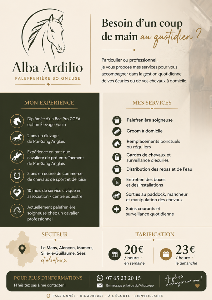 Freelance 
