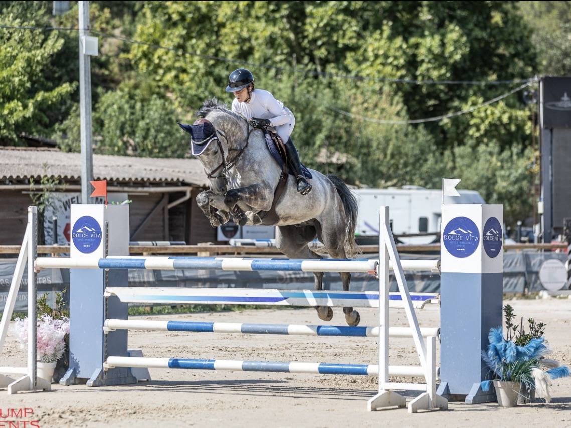 Grand avenir pour cet hongre de 7 ans gros moyen 