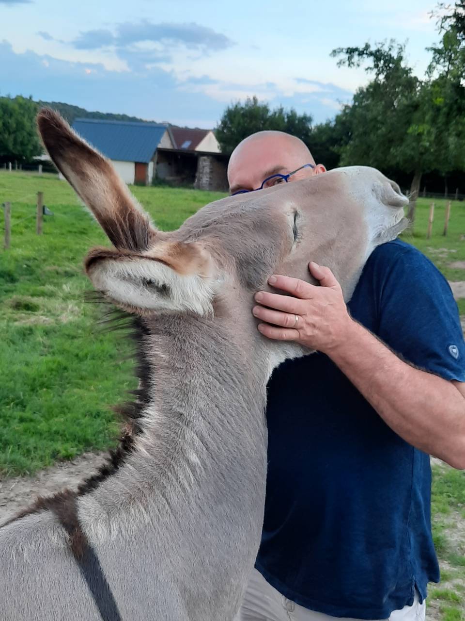 Anesse Cotentine de 5 ans, pleine pour 2027