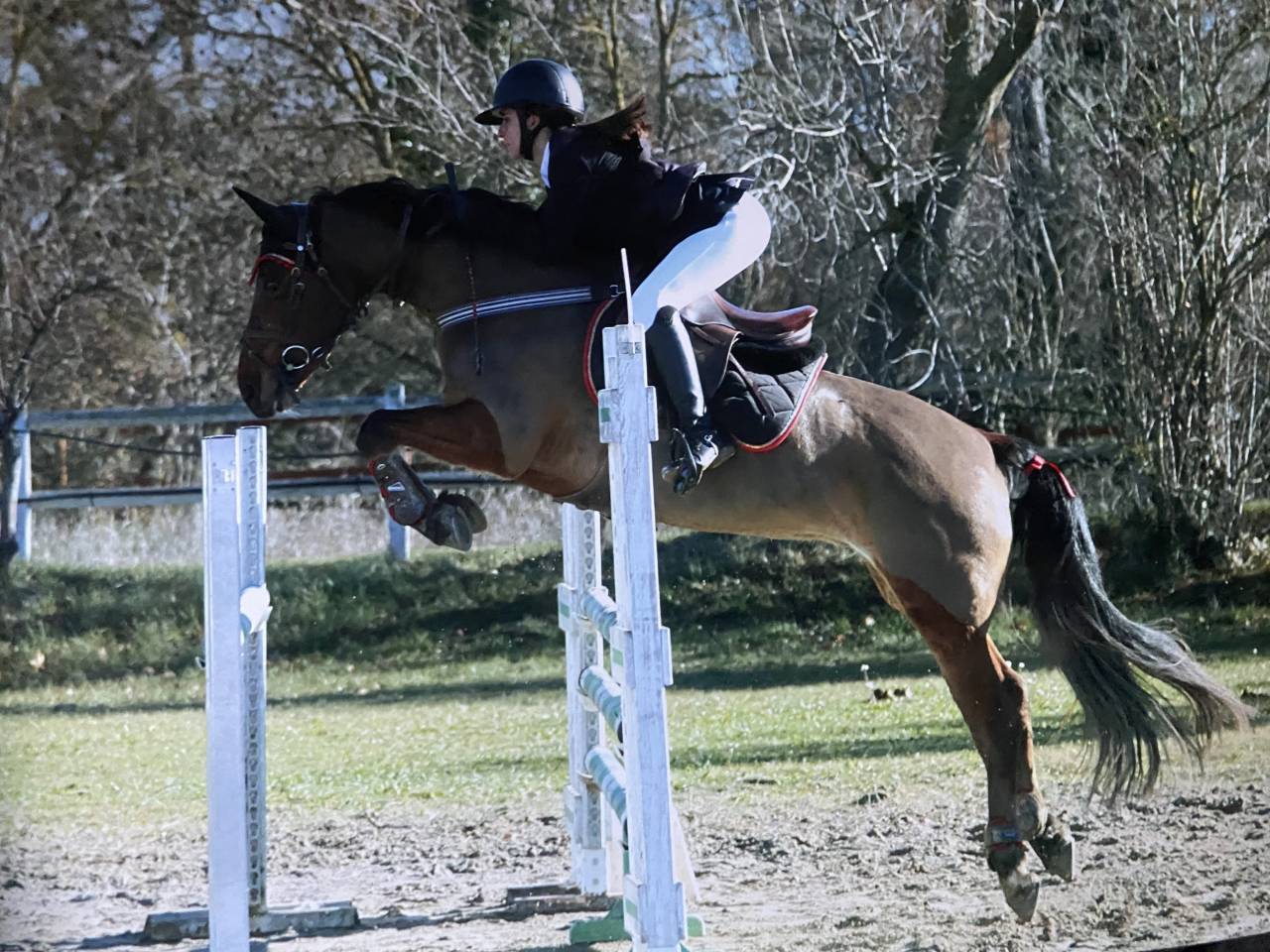 ⭐ PONETTE &Agrave; LOUER UNIQUEMENT ⭐