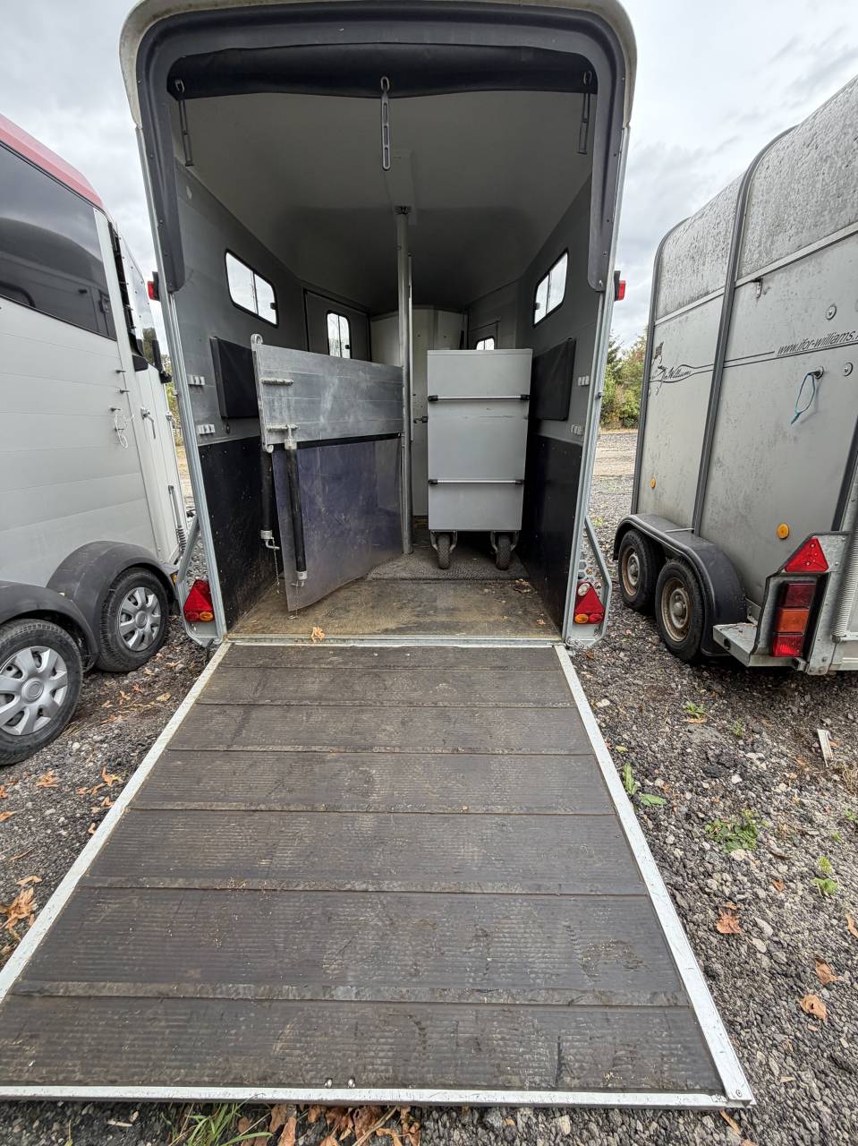 Cheval libert&eacute; Touring country 