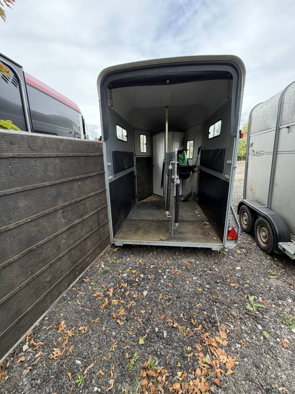 Cheval libert&eacute; Touring country 