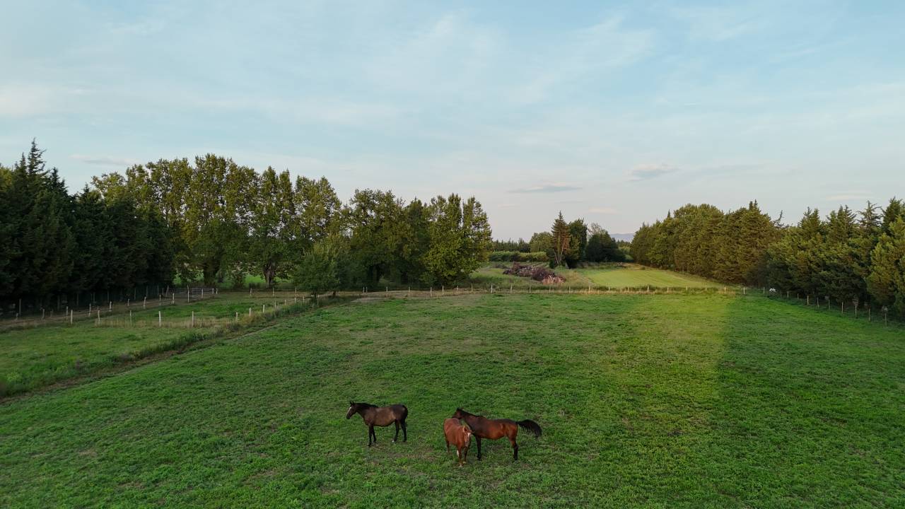 Et si vous partiez en vacances avec vos chevaux?