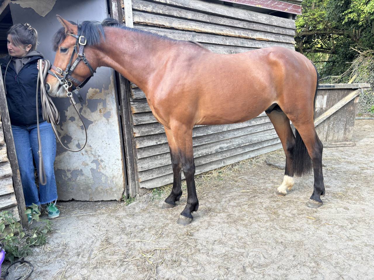 M&acirc;le PFS de 3 ans par Pixies Leam Pondi