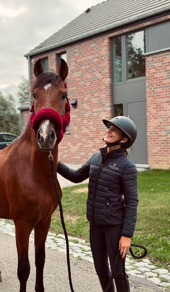 (Descarado) Magnifique poney de 4 ans
