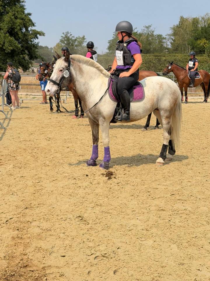 Ponette ma&icirc;tre d'&eacute;cole 