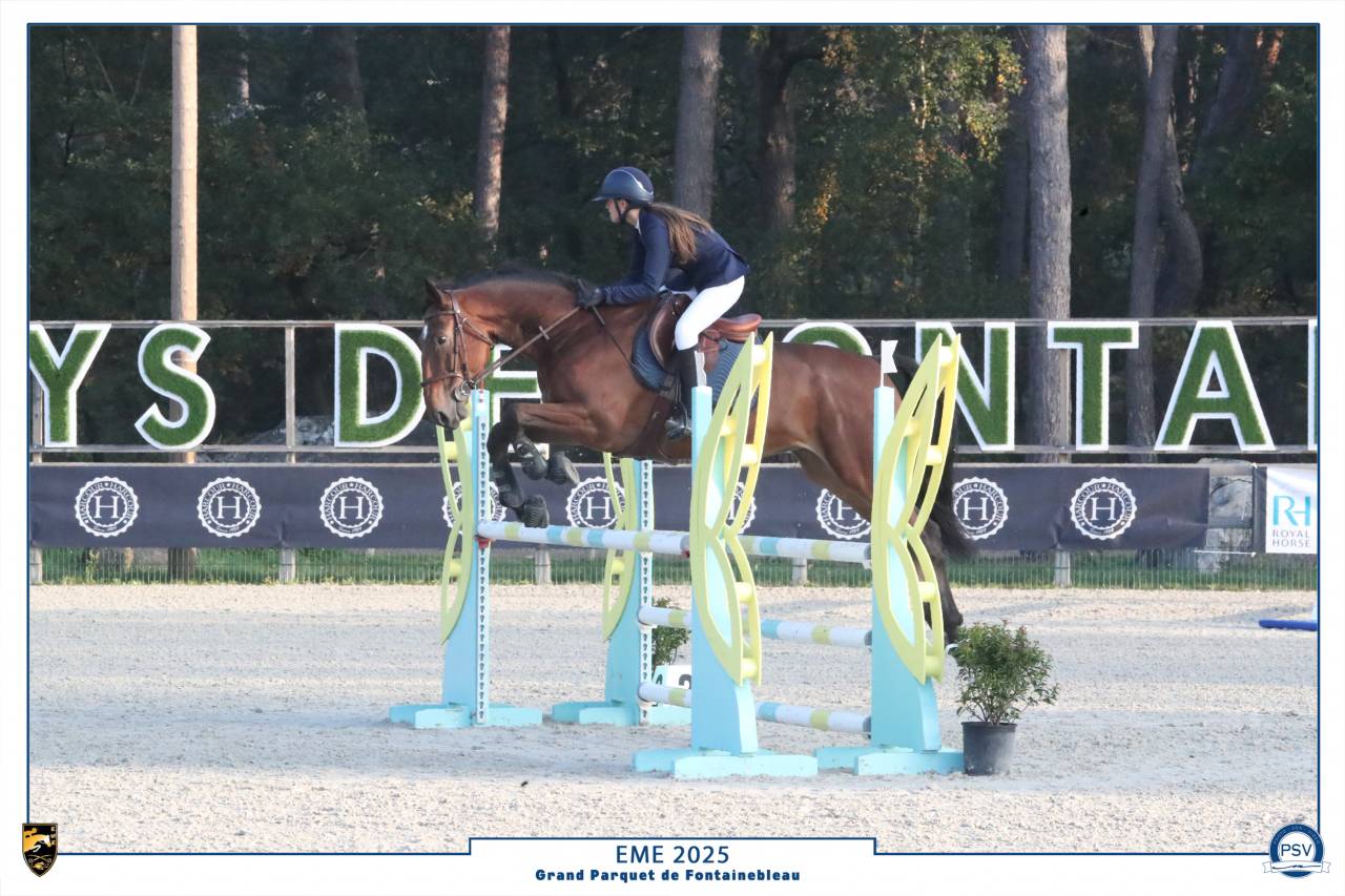 Location cheval de sport 
