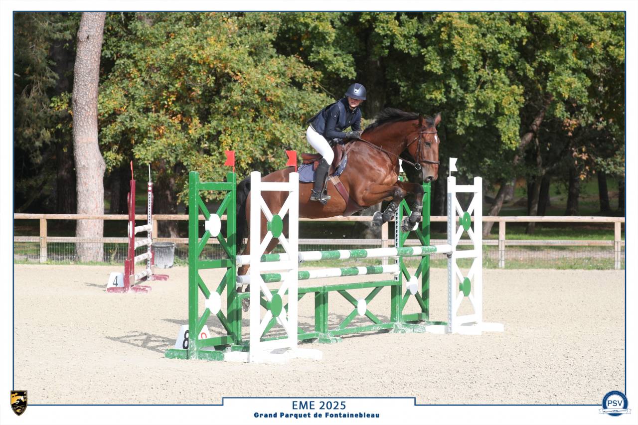 Location cheval de sport 