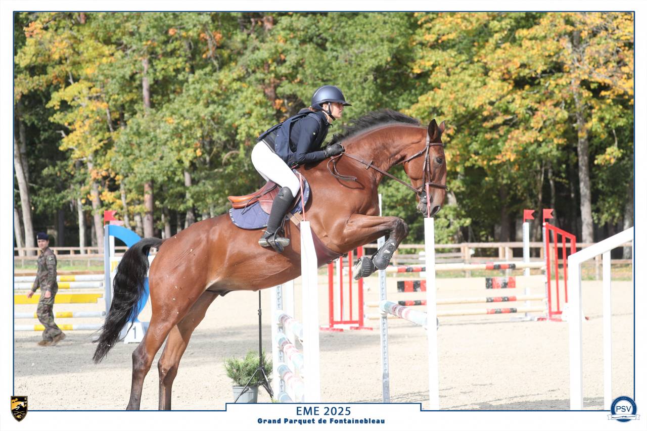 Location cheval de sport 