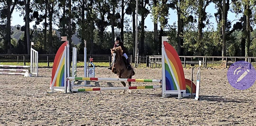 Poney B