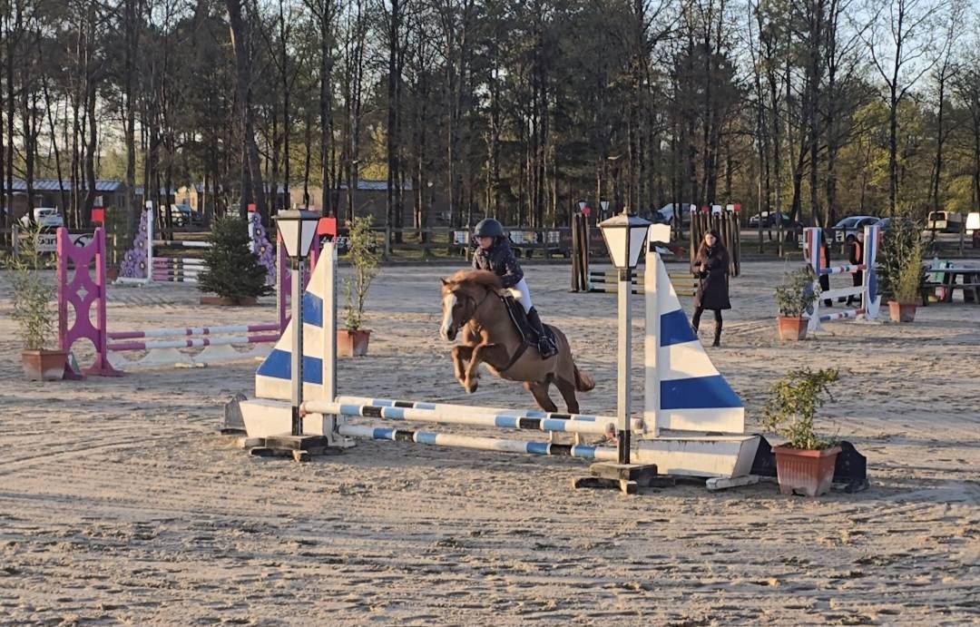 Poney B