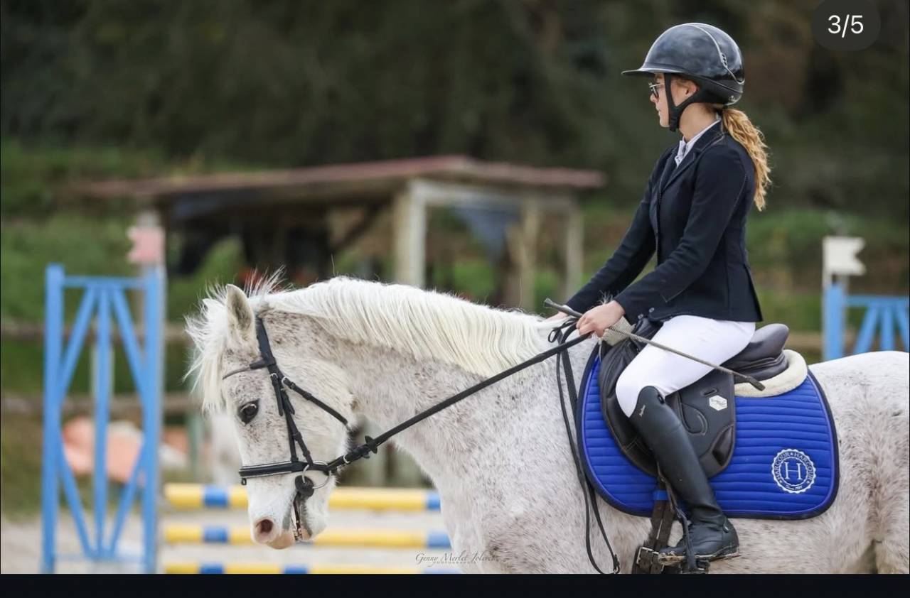 Poney &agrave; vendre 