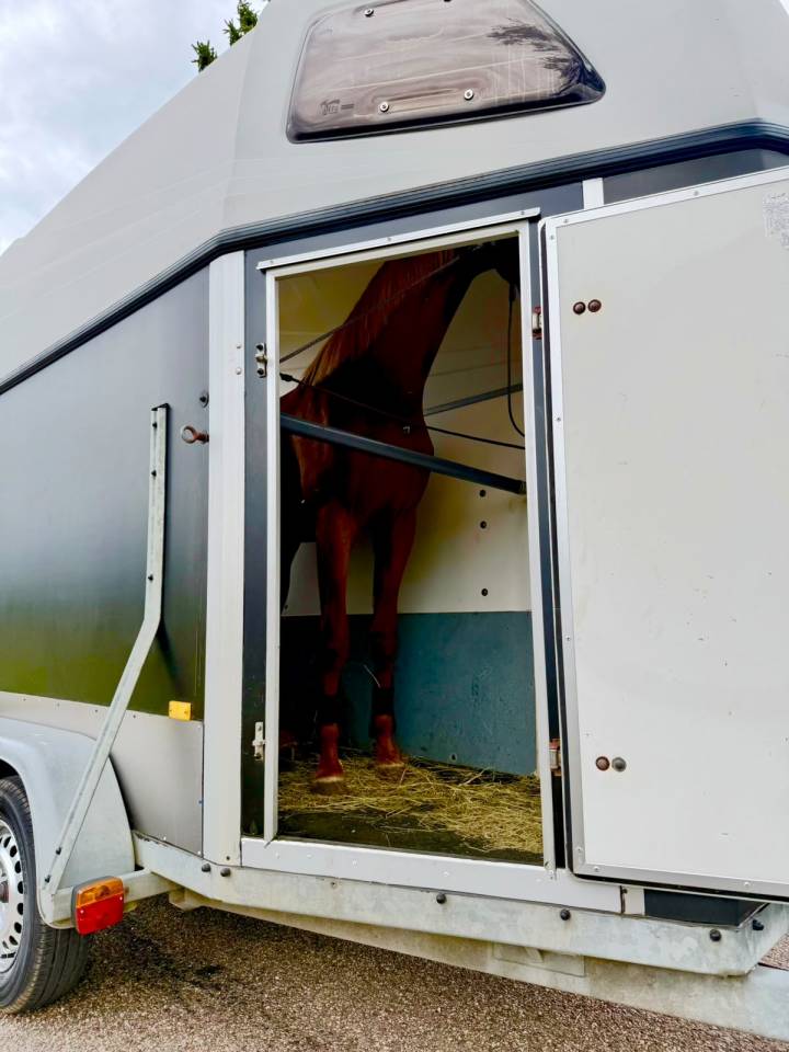 Van 1.5 Hotra 