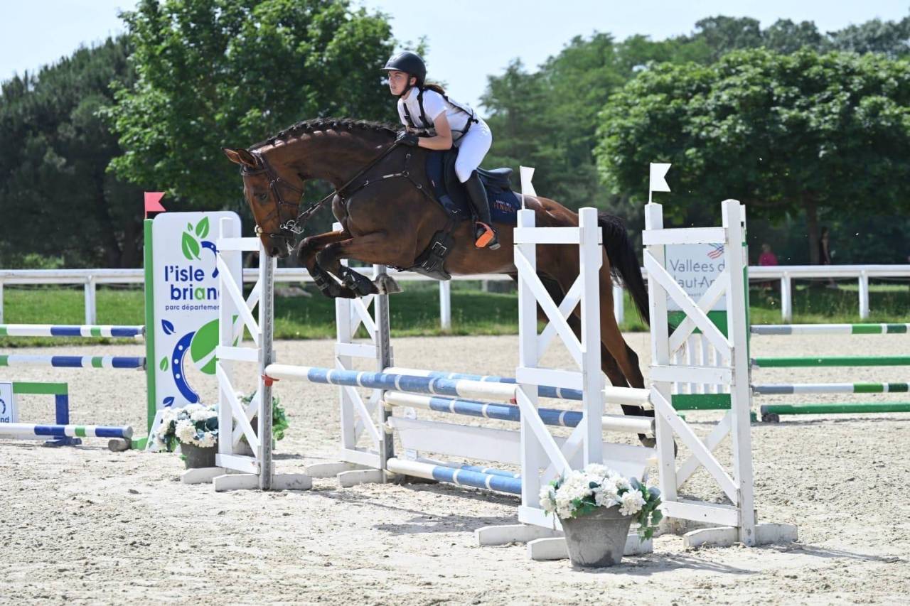Lord du Payrol &ndash; Hongre 5 ans &ndash; CCE / Dressage