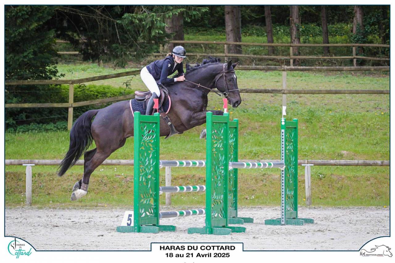 Cheval &agrave; vendre 