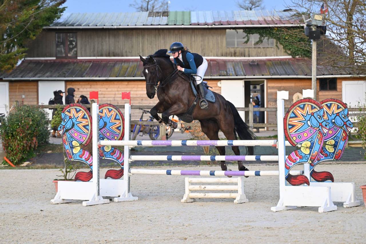 Cheval &agrave; vendre 