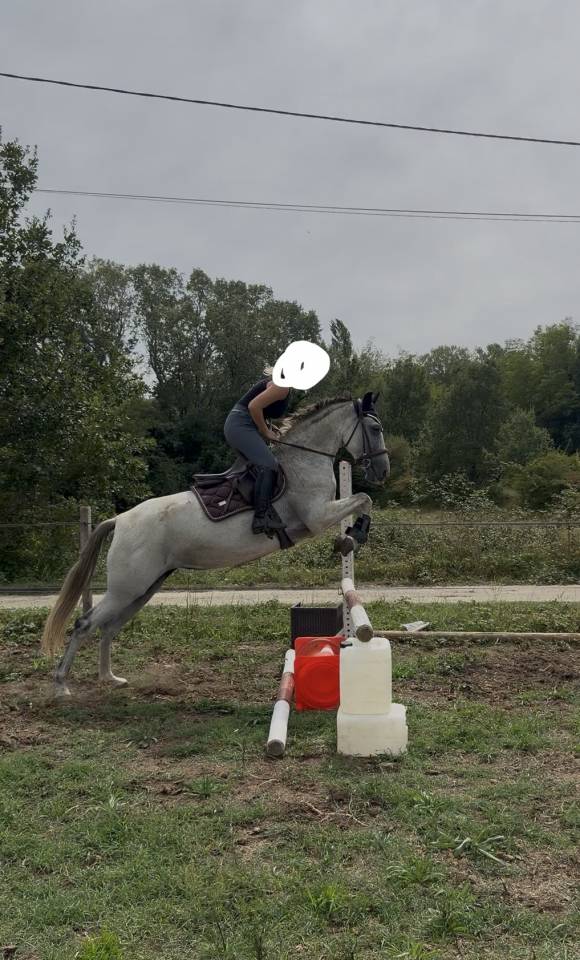 Jument-onc-8 ans sport/loisir