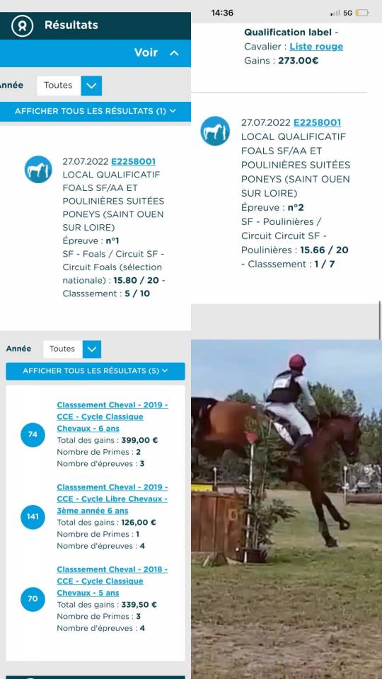 Jument 13 ans CCE CSO POULINI&Egrave;RE 