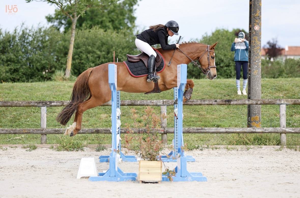 Ponette D 6 ans a vendre ou a louer