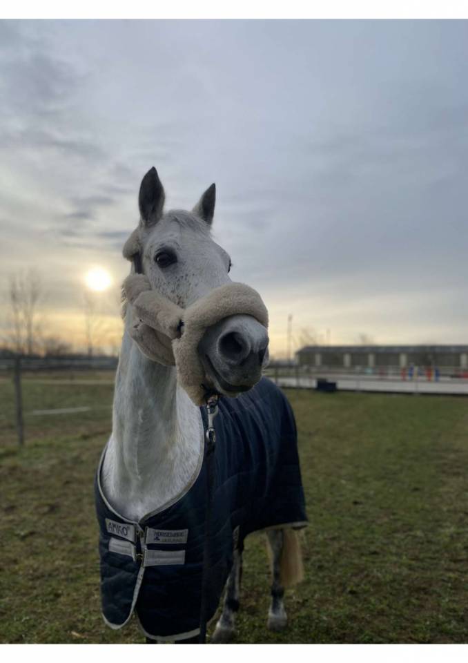 Demi-pension &ndash; Ponette 1.49