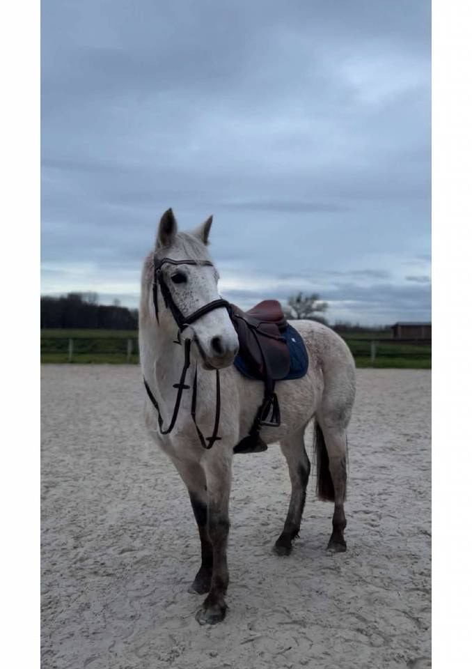 Demi-pension &ndash; Ponette 1.49