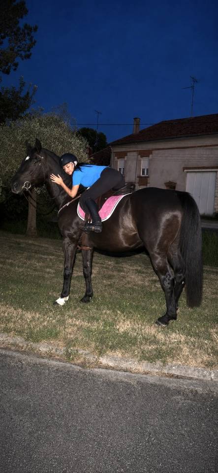 Super cheval &agrave; vendre 