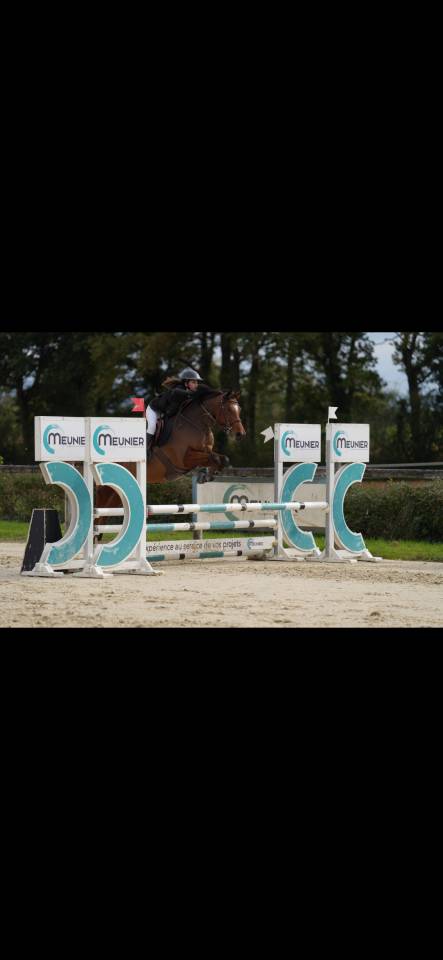 petit cheval de 7 ans