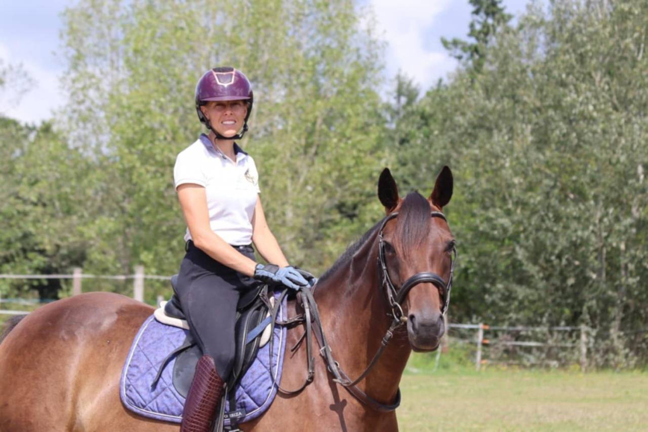 Adorable petite jument de dressage