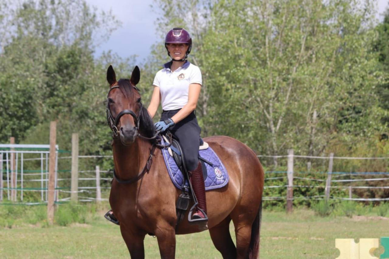 Adorable petite jument de dressage