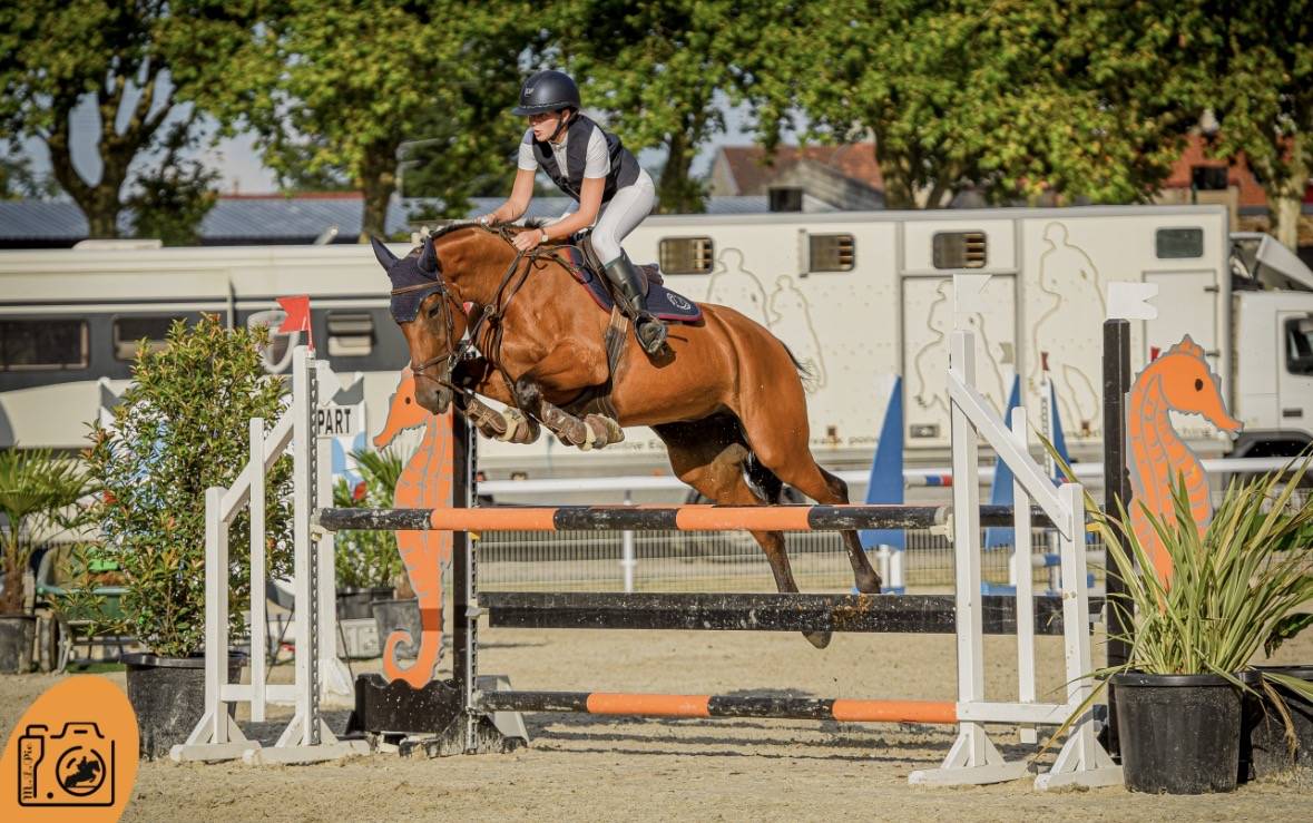 Jument de CSO de 8 ans 