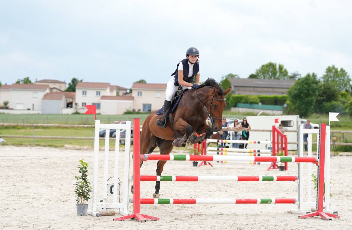 Jument de CSO de 8 ans 