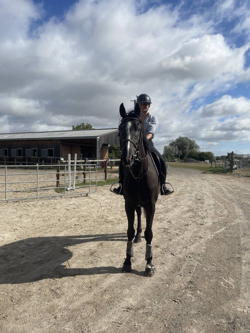 Cheval sf 