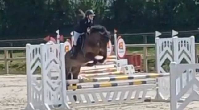 Ponette 4 ans