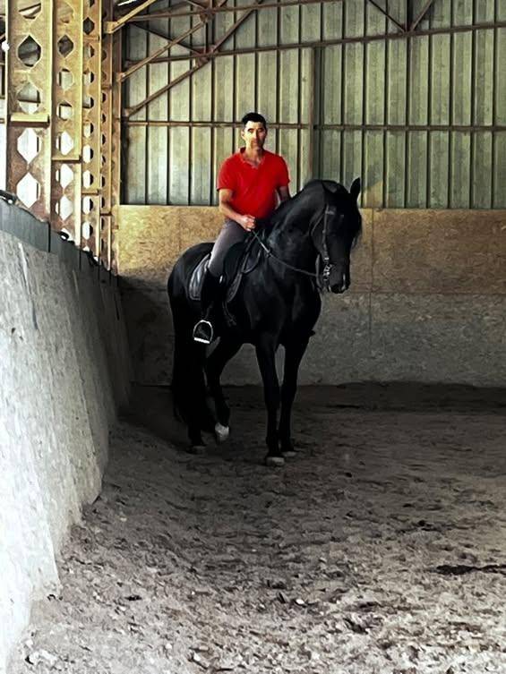 Pure race espagnole apto 
