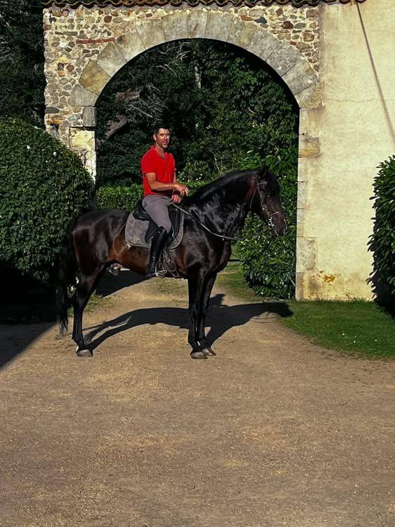 Pure race espagnole apto 