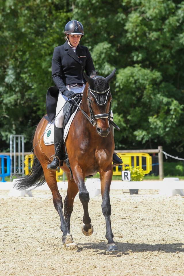 hongre 9 ans pour St George