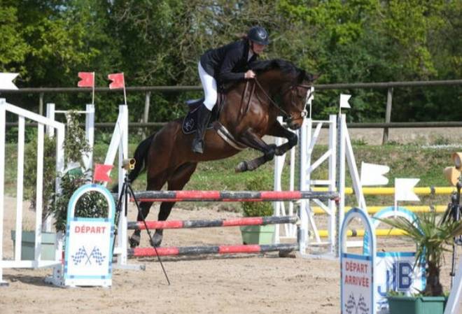 Jument PFS hors taille 