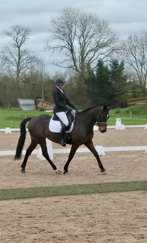 Jument PFS hors taille 