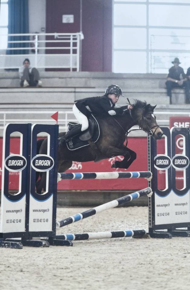 Poney de sport